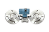 WP363D Monocrystalline Silicon Double Flange Remote Transmitter